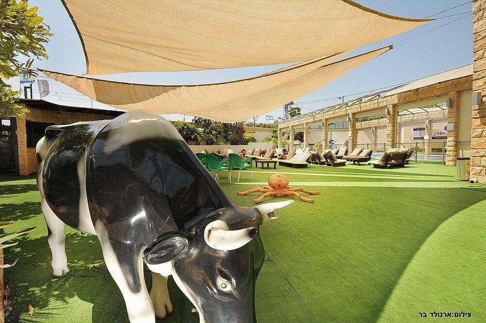 כפר נופש הרוח הגלילית צפון  12  נופש - וי פור ויקיישן - V for Vacation