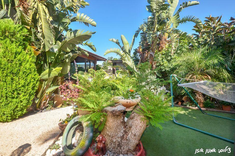 צימר אל מול הזריחה צפון  11  נופש - וי פור ויקיישן - V for Vacation