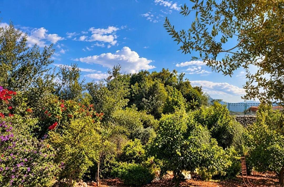 סוויטות בין ההרים, תמונת המקום 5