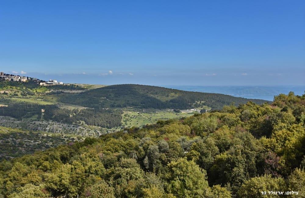 וילה סלו מול הכנרת צפון  6  נופש - וי פור ויקיישן - V for Vacation