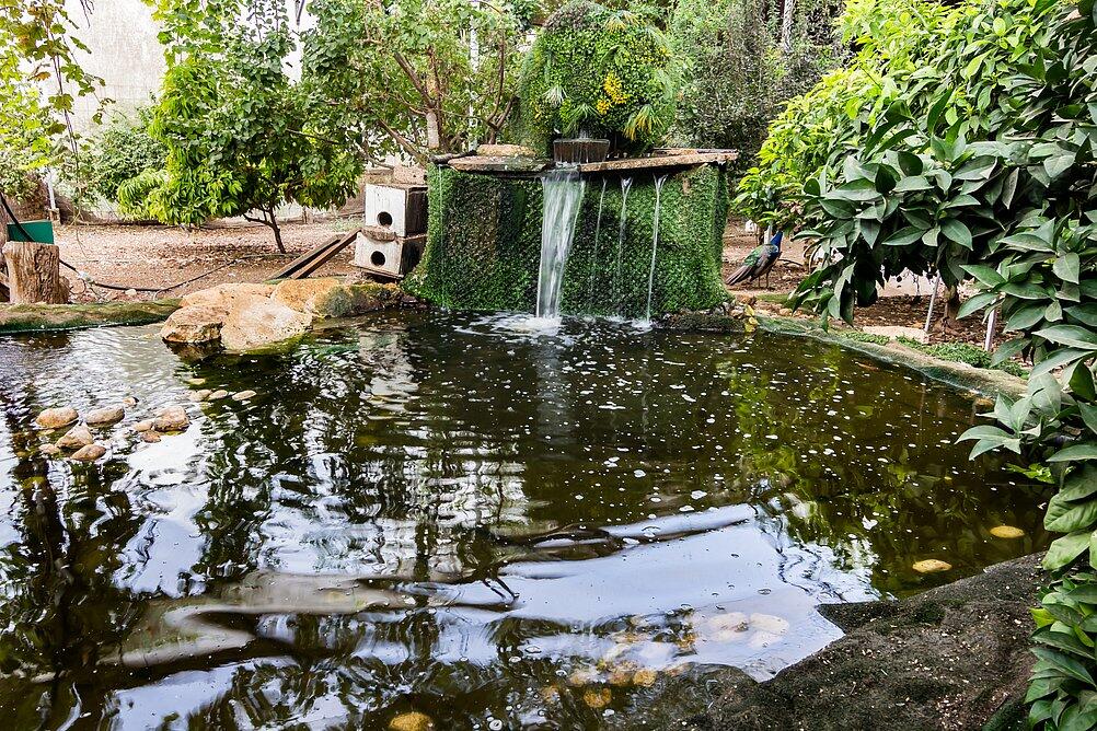 ויליג קומפלקס מתחם הצימרים דרום  33  נופש - וי פור ויקיישן - V for Vacation