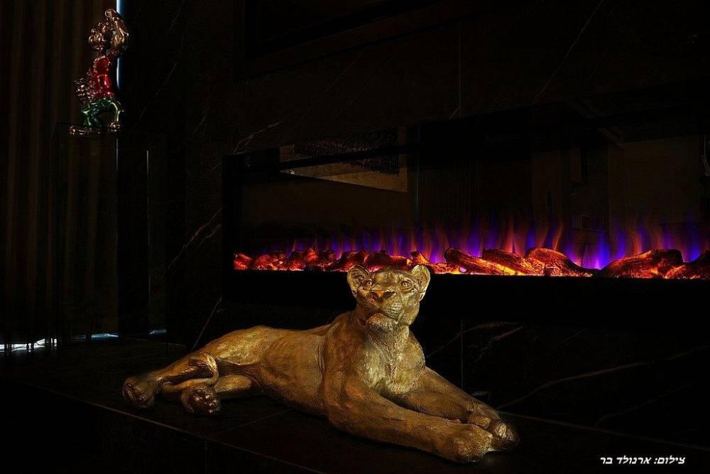 וילה אריא סינמה צפון  54  נופש - וי פור ויקיישן - V for Vacation