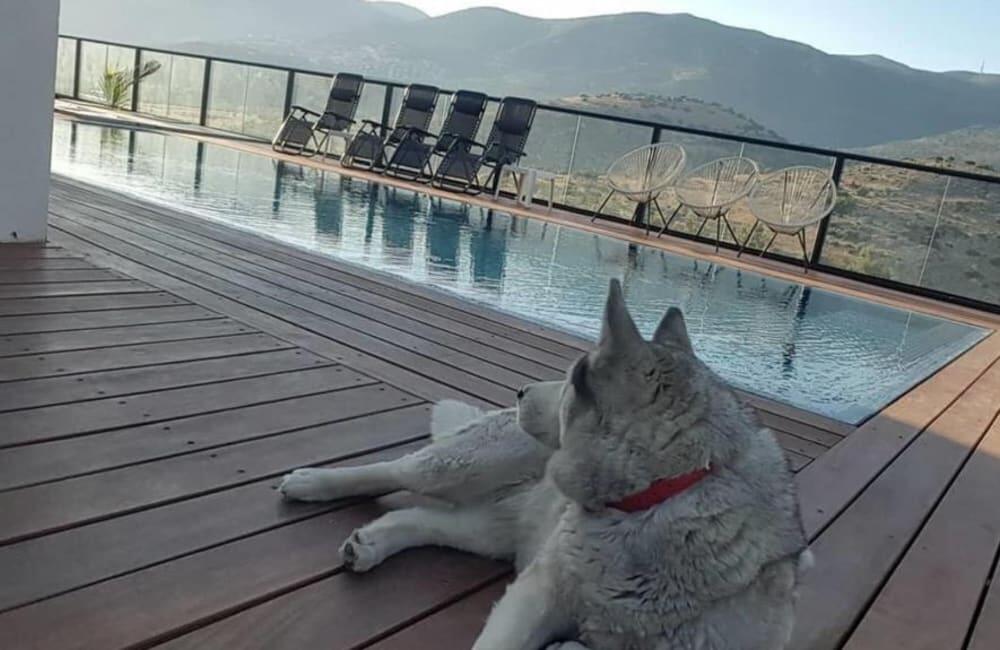 וילה אלרוב צפון  26  נופש - וי פור ויקיישן - V for Vacation