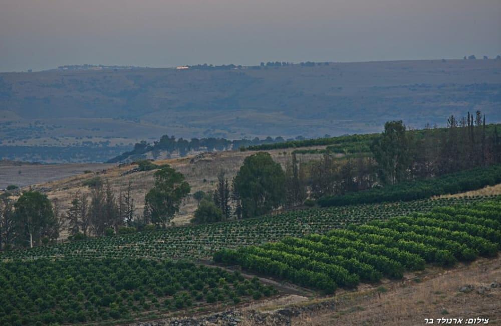 וילה מאיורי בוטיק צפון  4  נופש - וי פור ויקיישן - V for Vacation