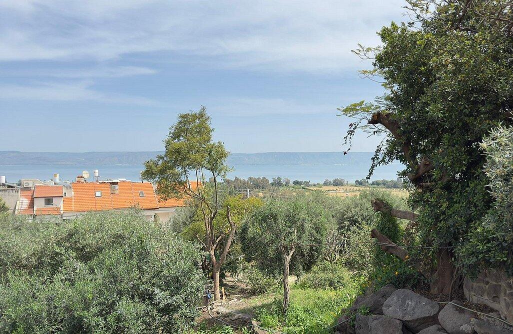 צימר בקתה בזית צפון  17  נופש - וי פור ויקיישן - V for Vacation