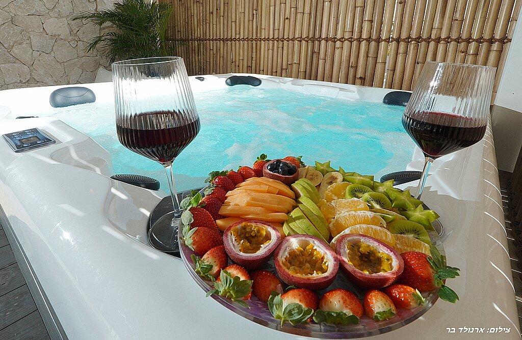 סוויטות שילו - Shilo Suites צפון  43  נופש - וי פור ויקיישן - V for Vacation