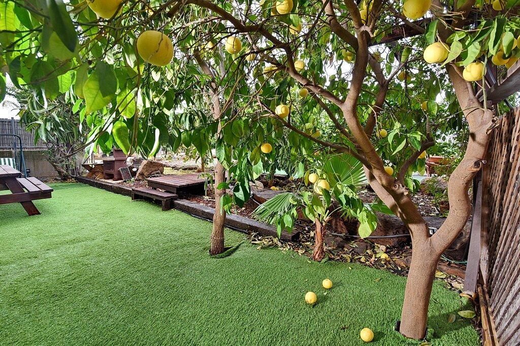 קסם האשוח צפון  3  נופש - וי פור ויקיישן - V for Vacation