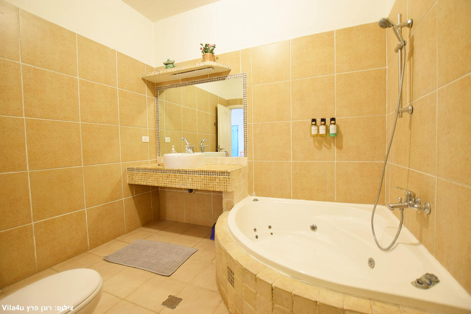 וילה בית הלוגים צפון  34  נופש - וי פור ויקיישן - V for Vacation