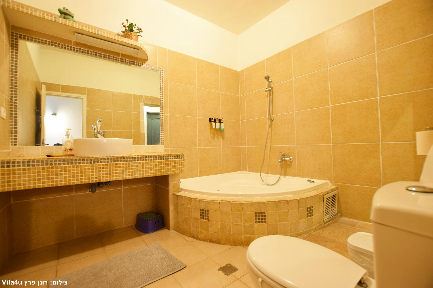 וילה בית הלוגים צפון  13  נופש - וי פור ויקיישן - V for Vacation