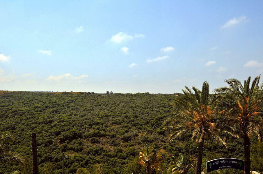 אחוזת כתמר יפרח צפון  24  נופש - וי פור ויקיישן - V for Vacation