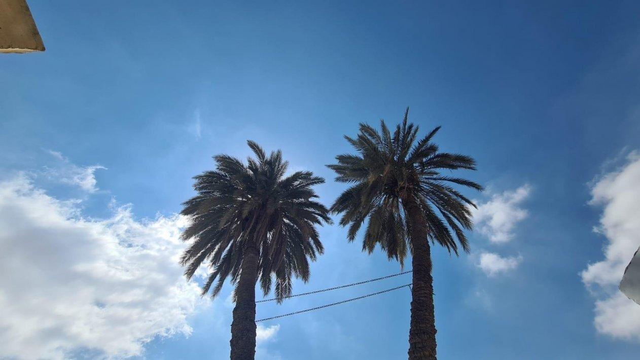 לופט פאטה מורגנה דרום  4  נופש - וי פור ויקיישן - V for Vacation