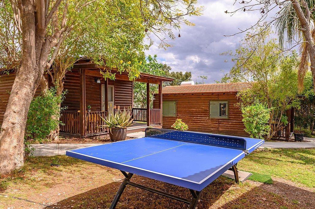 בינות תמרים מרכז  5  נופש - וי פור ויקיישן - V for Vacation