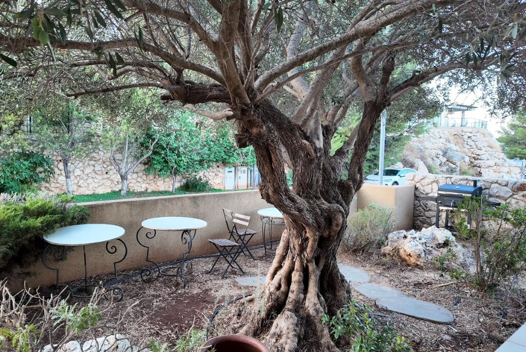 ריזורט פסגת הנוף צפון  25  נופש - וי פור ויקיישן - V for Vacation