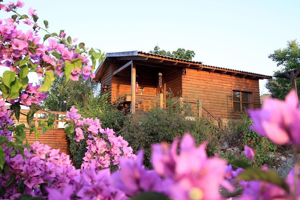 בקתות משי צפון  18  נופש - וי פור ויקיישן - V for Vacation