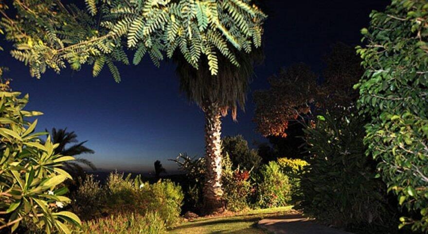 מול הנוף ברמות צפון  8  נופש - וי פור ויקיישן - V for Vacation