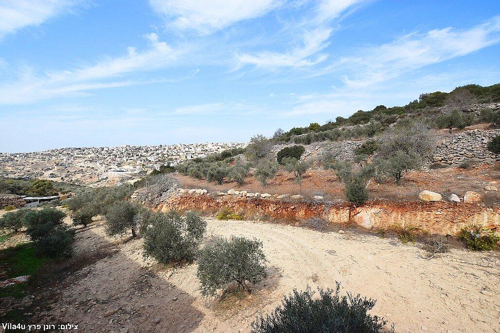 אחוזת לונריה צפון  20  נופש - וי פור ויקיישן - V for Vacation