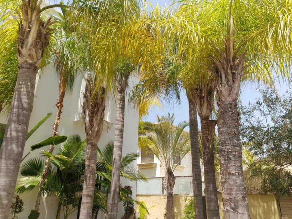 וילה מזל מרכז  23  נופש - וי פור ויקיישן - V for Vacation