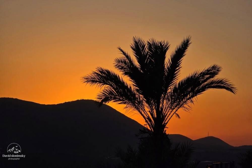 אחוזת מן בוטיק צפון  20  נופש - וי פור ויקיישן - V for Vacation