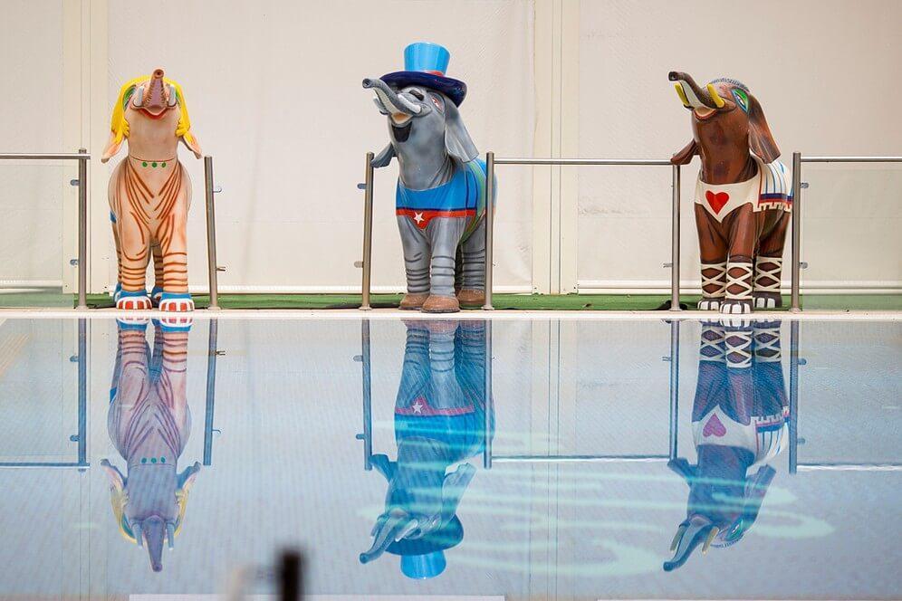 כפר נופש הרוח הגלילית צפון  5  נופש - וי פור ויקיישן - V for Vacation