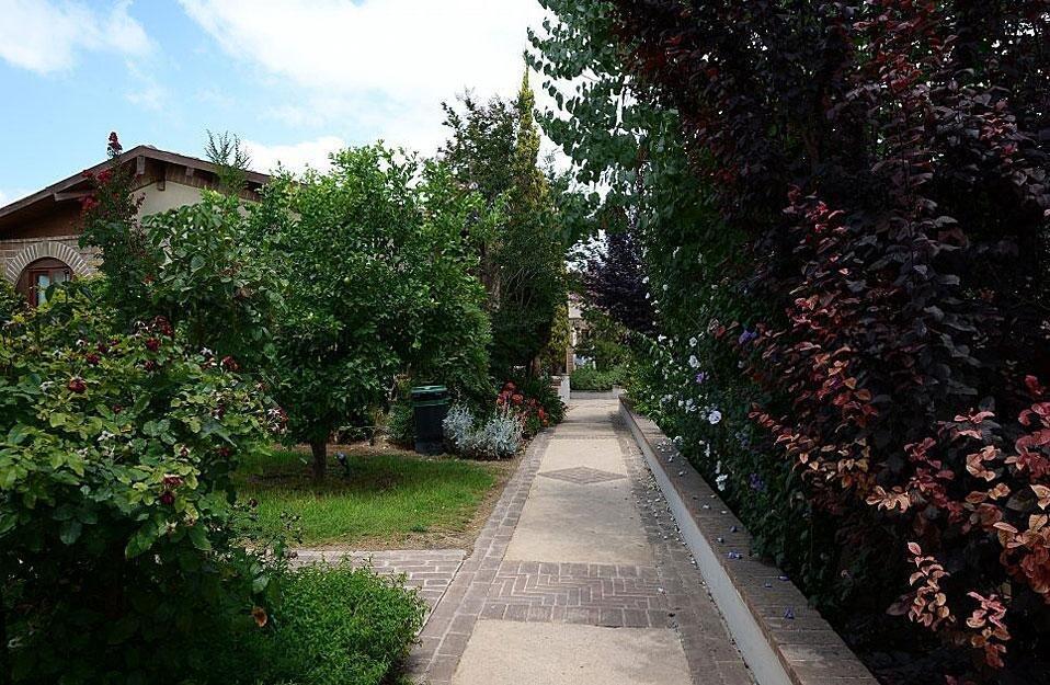 אחוזת טרה קוטה - מתחם נופש צפון  23  נופש - וי פור ויקיישן - V for Vacation