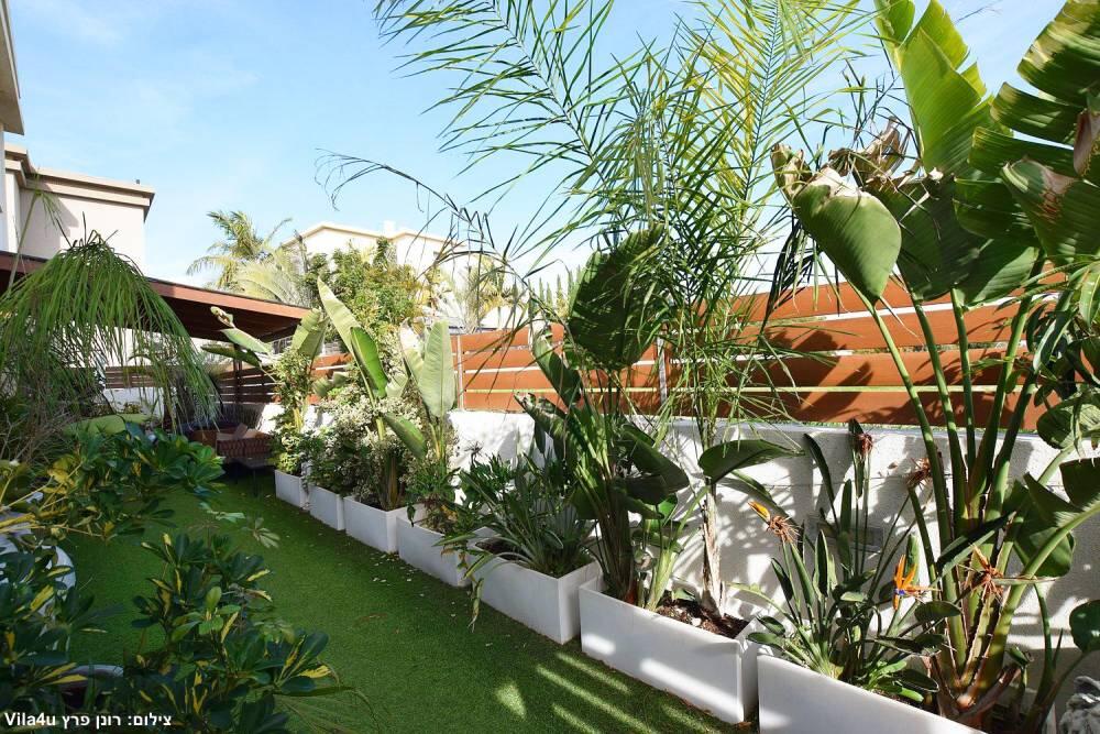 רוזה דרים מרכז  24  נופש - וי פור ויקיישן - V for Vacation