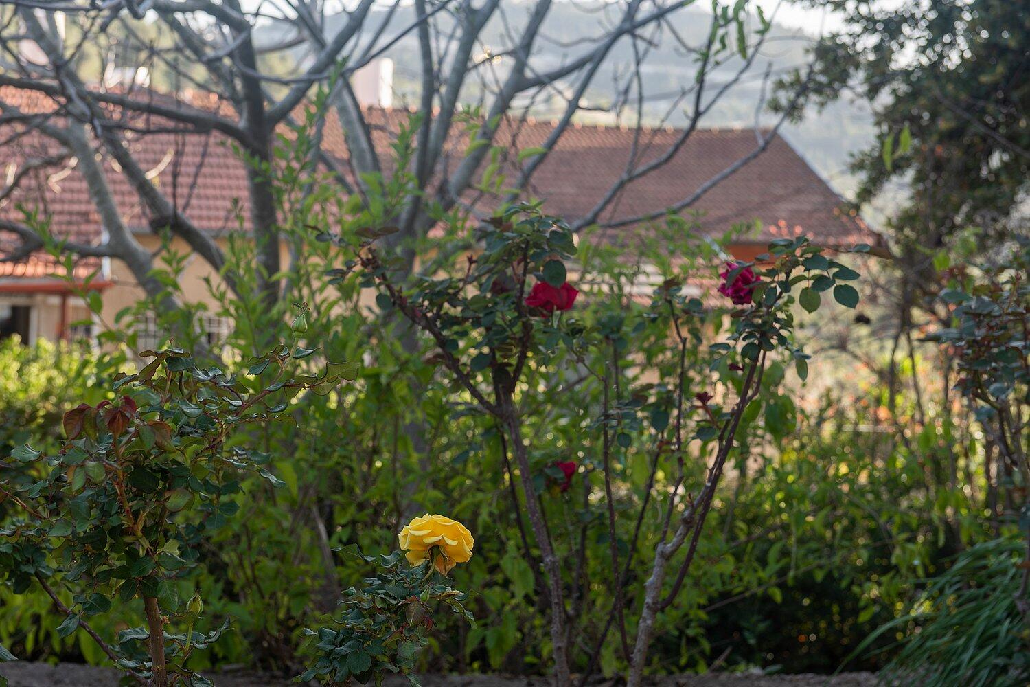 וילה בית זית מרכז  42  נופש - וי פור ויקיישן - V for Vacation