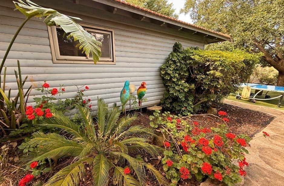 צימרים בצל האלון צפון  26  נופש - וי פור ויקיישן - V for Vacation