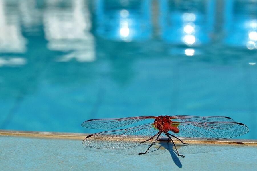 בקתות ספיר צפון  37  נופש - וי פור ויקיישן - V for Vacation