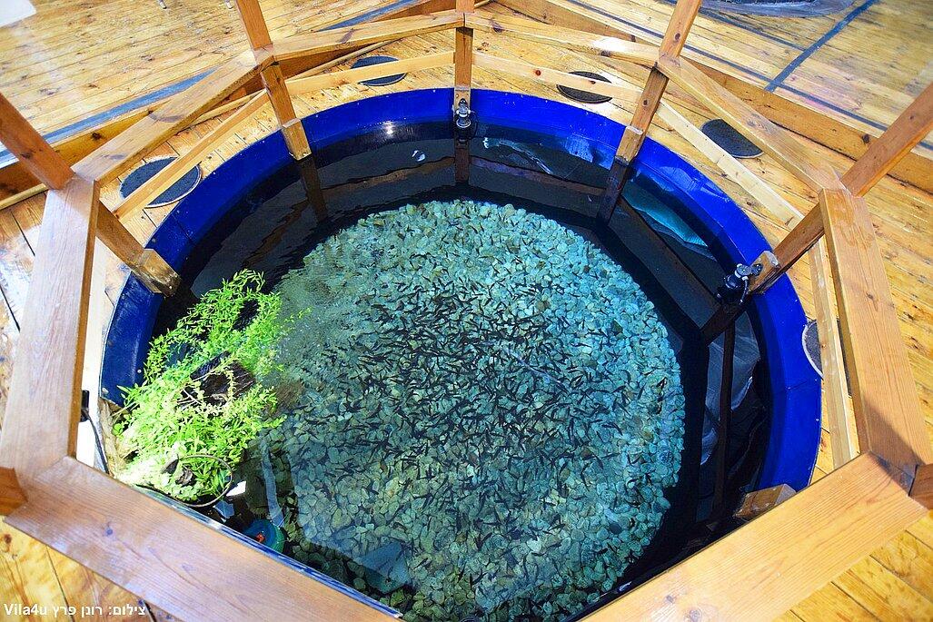 ויליג קומפלקס מתחם הצימרים דרום  17  נופש - וי פור ויקיישן - V for Vacation