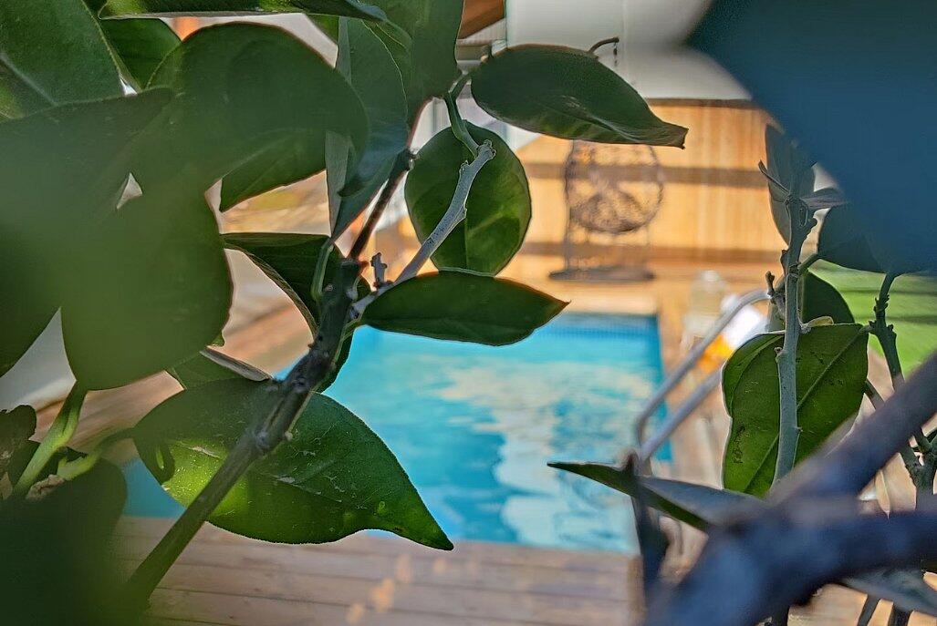 וילה עלמיא מרכז  10  נופש - וי פור ויקיישן - V for Vacation