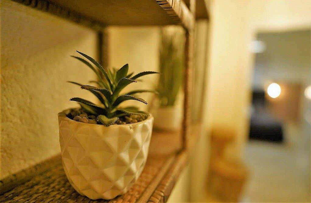 אחוזת ענבי הגפן מרכז  44  נופש - וי פור ויקיישן - V for Vacation