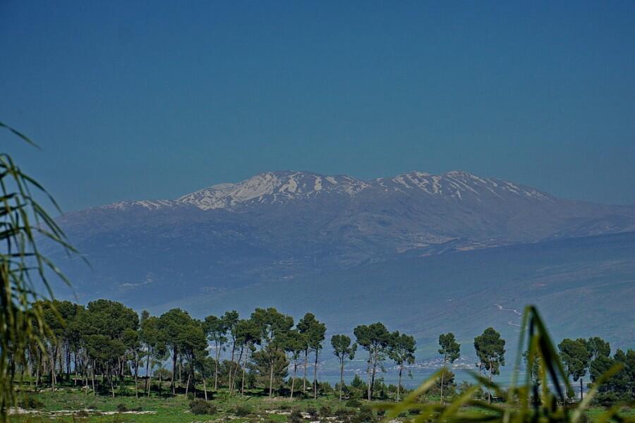 סוויטות הבוסתן הגלילי צפון  20  נופש - וי פור ויקיישן - V for Vacation