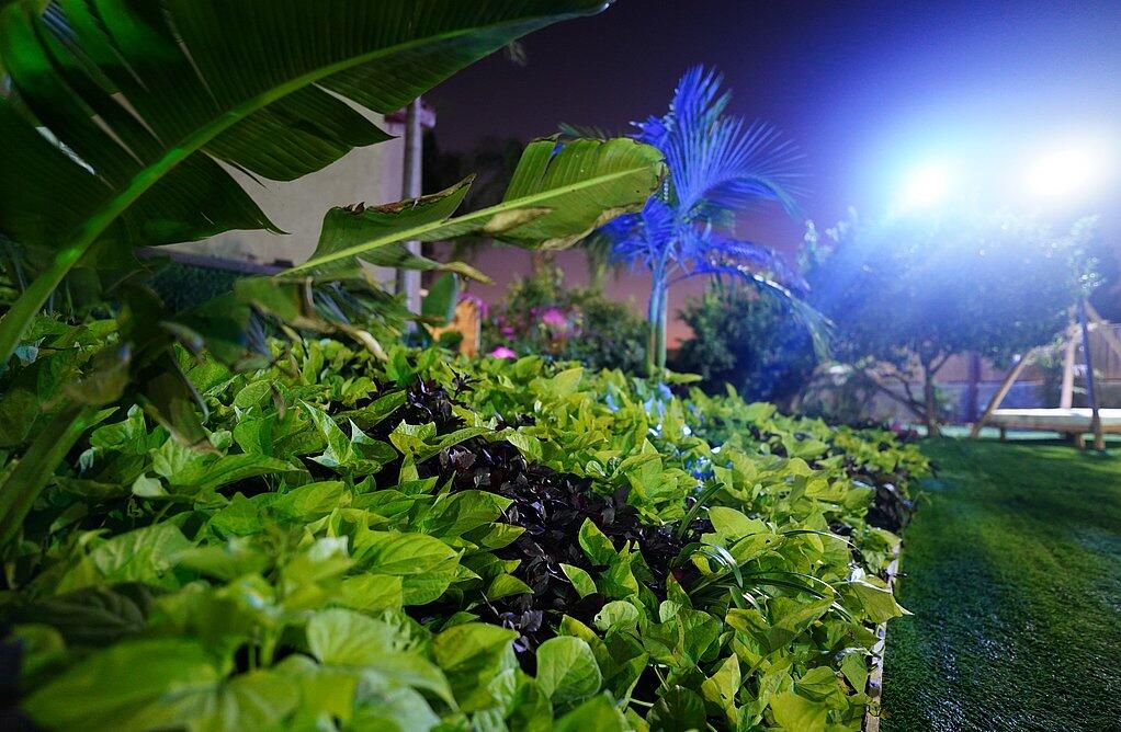 אחוזת ענבי הגפן מרכז  31  נופש - וי פור ויקיישן - V for Vacation