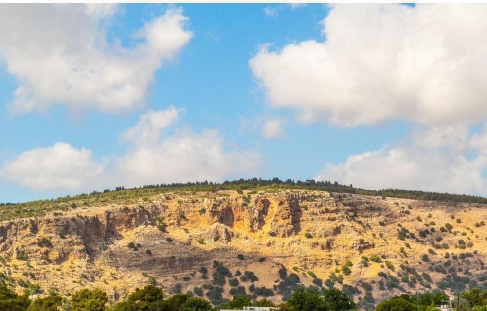 אחוזת אפנדי צפון  32  נופש - וי פור ויקיישן - V for Vacation