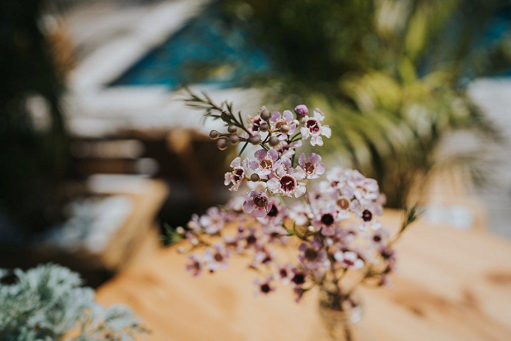 משק 17 מרכז  24  נופש - וי פור ויקיישן - V for Vacation