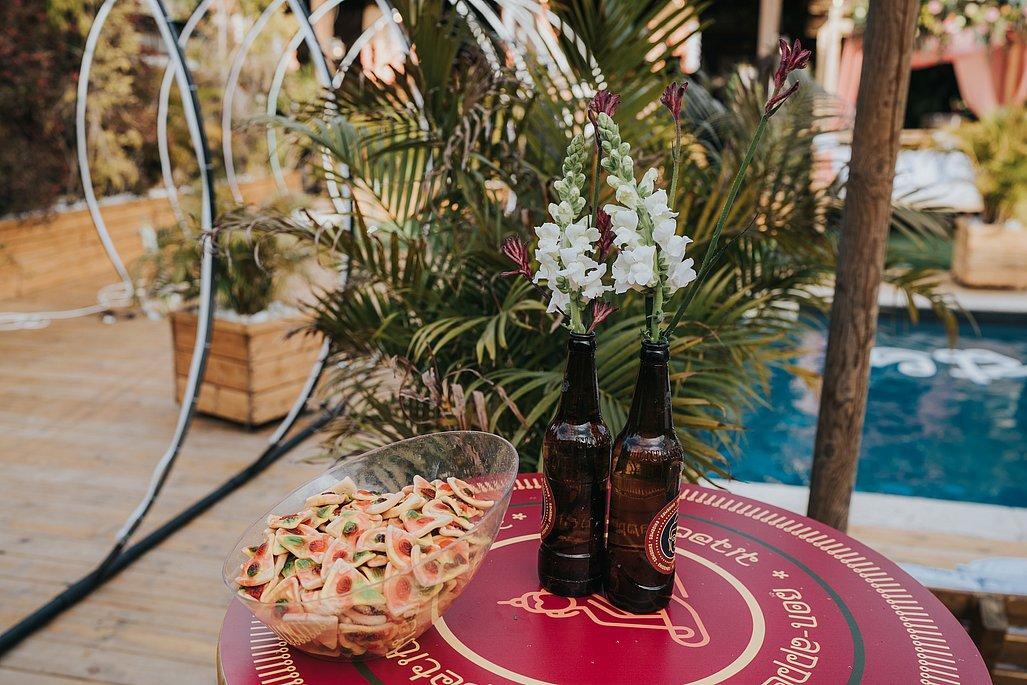 משק 17 מרכז  20  נופש - וי פור ויקיישן - V for Vacation