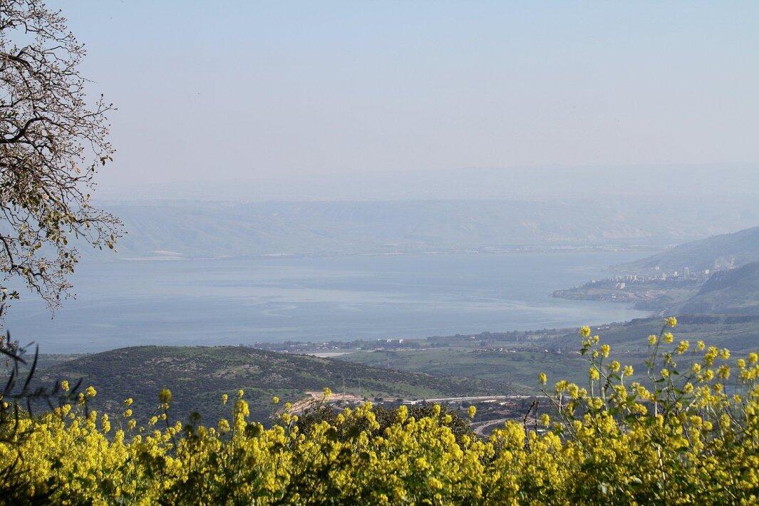 שוויץ באמירים- צימרים וספא צפון  7  נופש - וי פור ויקיישן - V for Vacation