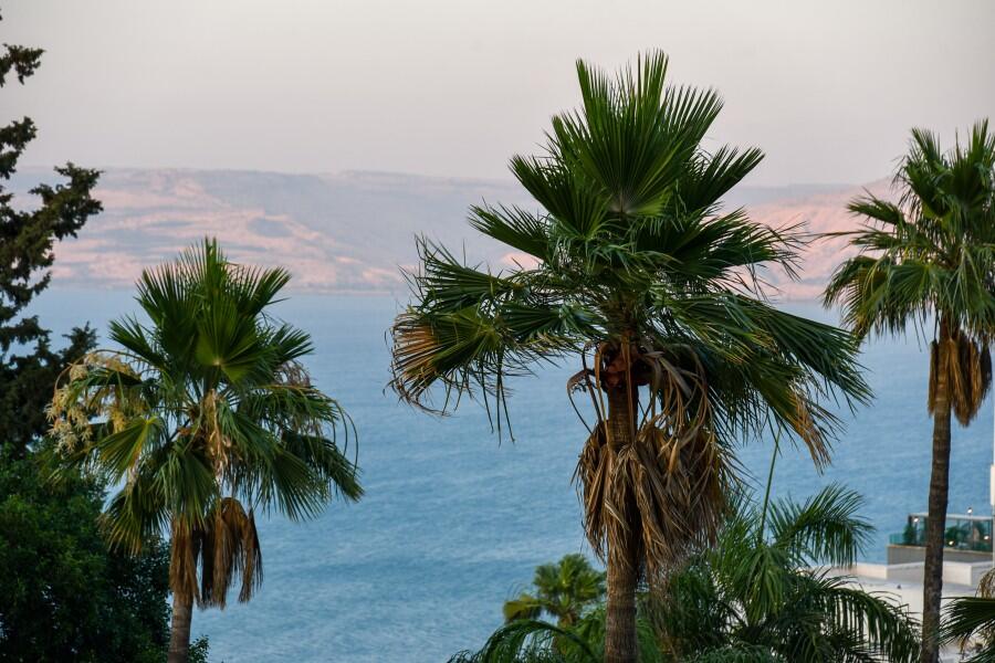 סוויטה יהלום בכנרת צפון  3  נופש - וי פור ויקיישן - V for Vacation