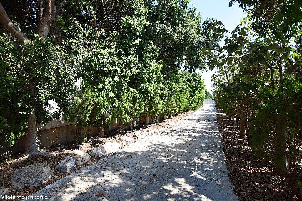 אחוזת טפרס מרכז  23  נופש - וי פור ויקיישן - V for Vacation