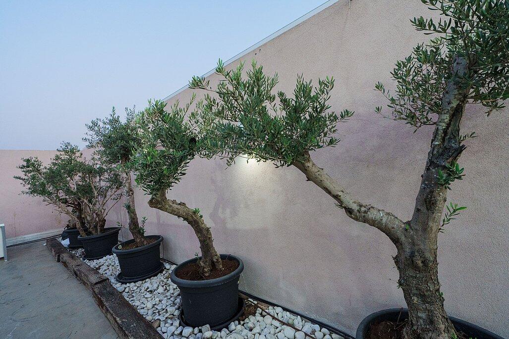 אחוזת הר טוב מרכז  45  לופט 4 יו