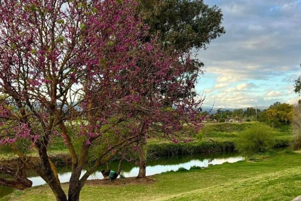 וילה נוף להרים צפון  15  נופש - וי פור ויקיישן - V for Vacation