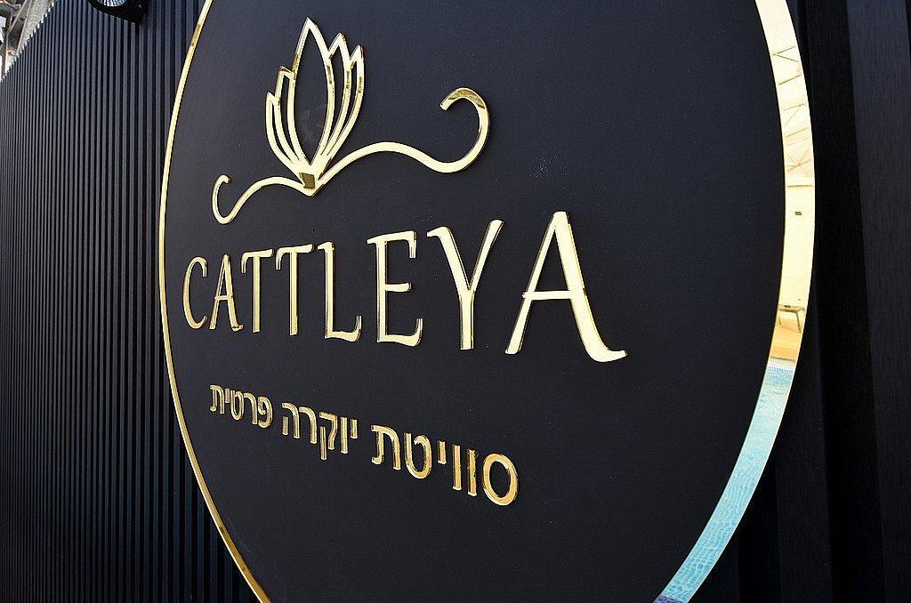 קאטליה - סוויטת יוקרה פרטית צפון  3  נופש - וי פור ויקיישן - V for Vacation