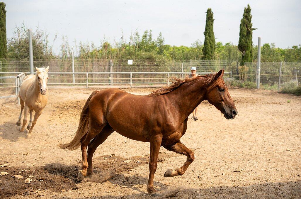 נווה בר - מלון בוטיק בכפר מרכז  5  נופש - וי פור ויקיישן - V for Vacation