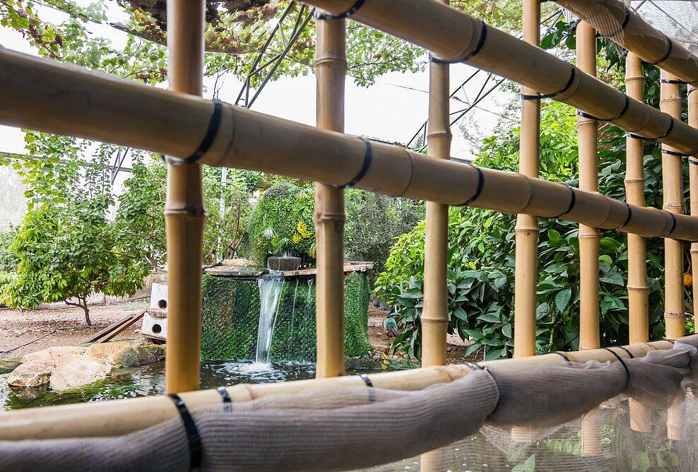 ויליג קומפלקס מתחם הצימרים דרום  32  נופש - וי פור ויקיישן - V for Vacation