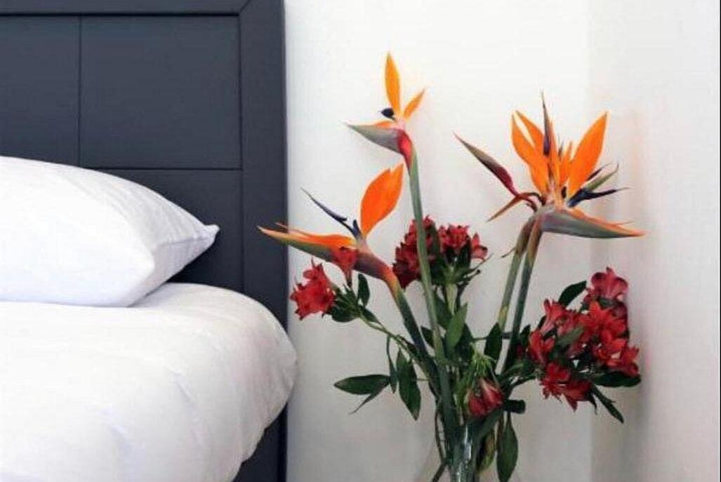 אחוזת רפאל גארדן מרכז  15  נופש - וי פור ויקיישן - V for Vacation