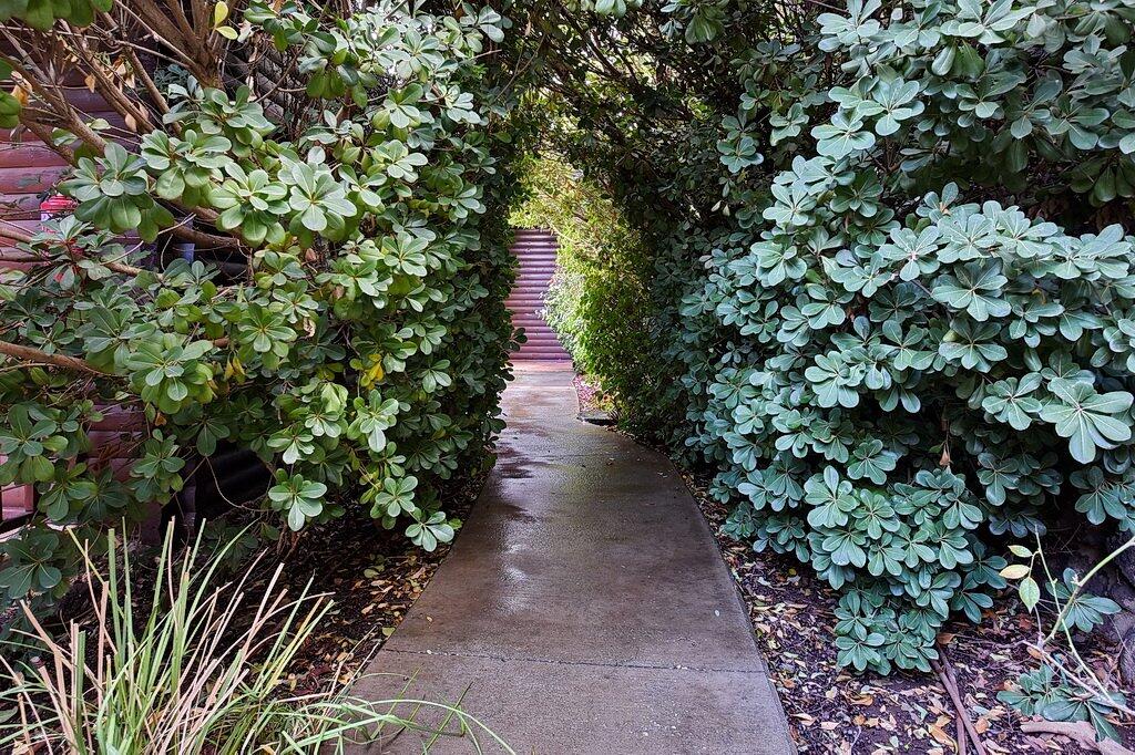 קסם האשוח צפון  29  נופש - וי פור ויקיישן - V for Vacation