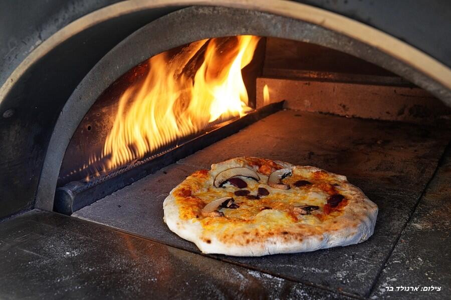 רינג דה בל צפון  12  נופש - וי פור ויקיישן - V for Vacation