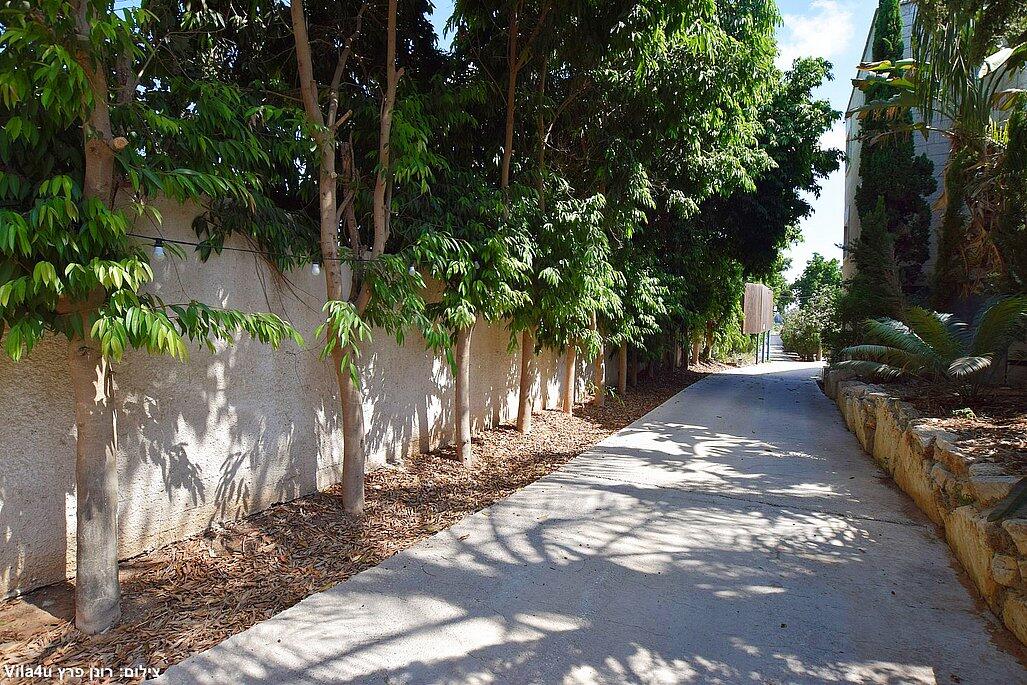 אחוזת טפרס מרכז  18  נופש - וי פור ויקיישן - V for Vacation