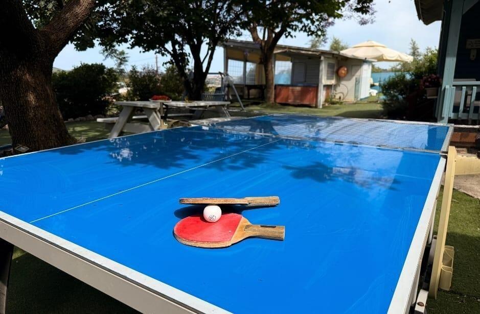 צימרים בצל האלון צפון  29  נופש - וי פור ויקיישן - V for Vacation