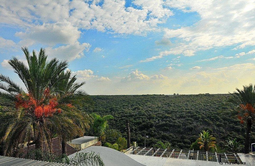 אחוזת כתמר יפרח צפון  9  נופש - וי פור ויקיישן - V for Vacation